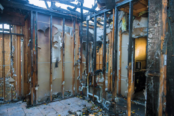 Professional Soot Cleanup technician working in Daniels Farm, CT